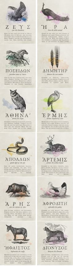 Greek Gods And Goddesses, Greek And Roman Mythology, Mythology Art, Greek Mythology Tattoos, Greek Mythology Animals, Greek Animals, Greek Myths