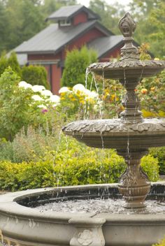 53 best water features