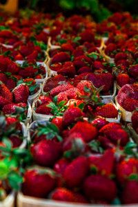 151 best farmers market images farmers market farmers market