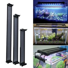 34 Ideas De Pantallas De Led S Varias Led Pantallas Led Pantalla