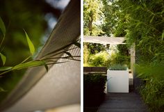 Buytengewoon tuinontwerp tuinaanleg tuinonderhoud