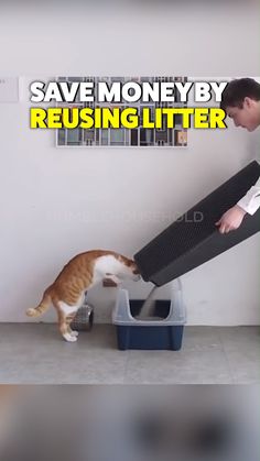 PVC Claw Print Cat Litter Box Mat Litter Box Mat Litter Trapper Nany Cat Litter Mat Placemat Anti-Cat Litter Out Cat Foot Mat. PVC Claw Print Cat Litter Box Mat Litter Box Mat Litter Trapper Nany Cat Litter Mat Placemat Anti-Cat Litter Out Cat Foot Mat.
