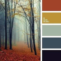 office colour scheme teal people also love these ideas color schemes for office family room color navy yellow orange navy blue scheme office colour scheme teal people also love these ideas color schemes for office family room color navy yellow orange navy blue scheme