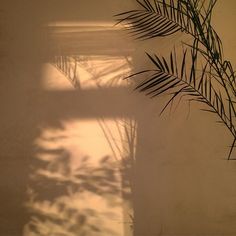 aesthetic brown beige golden hour minimalist shadow wallpapers soft deja aesthetics instagram plk vu disgusting nothing last kata coretan amarti