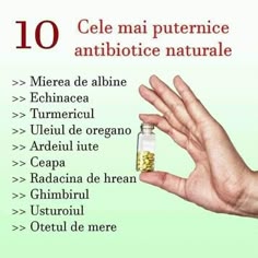 rețete de slăbit