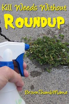 Prevent Grass And Weeds From Growing In Cracks Pour Prevent Grass And Weeds From Growing In Cracks Pour