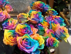 80 Best Rainbow Roses Images Colors Beautiful Flowers Rainbow Roses Are Extra Special Flowers For The People In Your Life