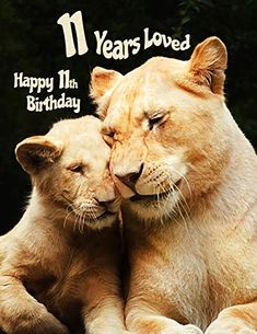 To a Very Special Nana Birthday Card BonBon Range Cats Theme.