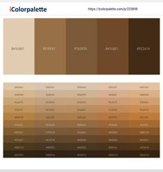 20 Brown Color Palettes with Names and Hex Codes – CreativeBooster