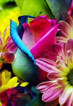 410 Best Colorful Things I Like 3 Images On Pinterest In 2018 Gorgeous Colors Www Paintingyouwithwords Tulips Flowers