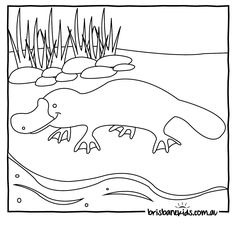 Australian Animals Colouring Pages