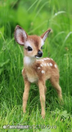 350 Ideas De Venados En 2021 Animales Hermosos Animales Animales Bonitos
