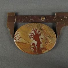 Owyhee Jasper hand cut cabochon from RK minerals stock # 202