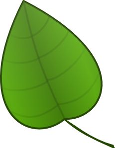 green leaf learn science leaves clip art art images green leaf template
