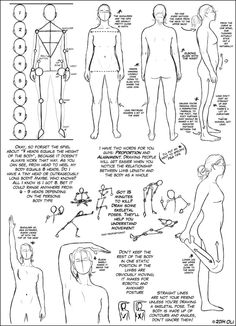 draw basic human figures artsy pinterest drawing women