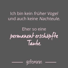Taube und dumme Dating-Website