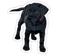 pitbull corgi borzoi retriever sheepadoodle Bulldogs 24 pieces for laptops etc Dogs sticker set smartphones bullterier notebooks