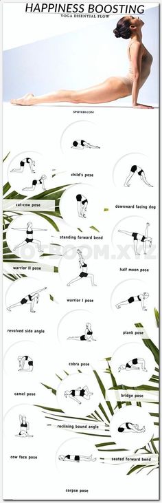 Tips of dieting weight loss image 4
