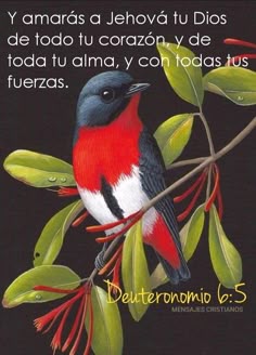 25 Ideas De Amar En 2021 Frases Espirituales Frases De Sabiduria Frases Bonitas