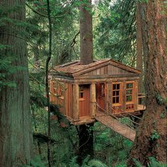 141 Best I Want To Live In A Tree House Images On Pinterest 20 Amazing Fairytale Tree Houses Around The Globe