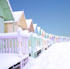 the 44 best the christmas card collection images on pinterest christmas cards beach themed