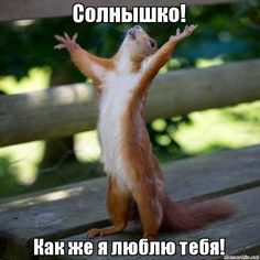 Я люблю тебя - стихи Антокольского о любви