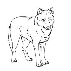 Wolf Coloring Pages | Free Wolf Coloring Pages | tigersit ... Wolf Coloring Pages | Free Wolf Coloring Pages | tigersit ...
