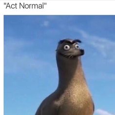 Spirt auf finden nemo