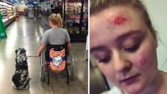 Dog Owners Describe The Horrific Effects They Claim Purina Beneful
