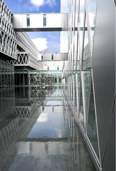 fist light gardiner museum Estee lauder beyond pleasure