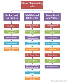essay about jobs application dream