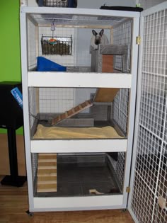 75 Best Rabbit Habitat Images Guinea Pigs Pets Hutches Our Bunnyâ S Luxury Condo Picture Heavy Rabbits Online Living For You