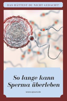 Wird Man Vom Sperma Schlucken Schwanger Wird Man Vom Sperma Schlucken Schwanger