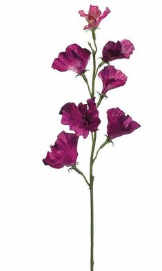 6 Lovely Quality Artificial Silk Sweet Pea Flower Stems Realistic Assort Colours