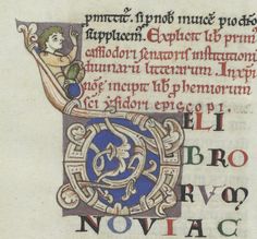 salamander letter manuscript exemplars pinterest salamander letter