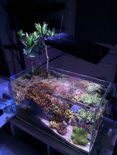 615 best aquatica images