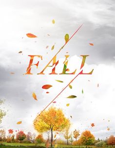 48 best autumn images
