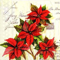 Poinsettia Bienvenido Bandera de Casa de Navidad Vacaciones Floral 28/" X 40/" Briarwood Lane