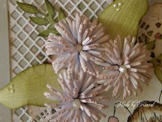 Image result for Cheery Lynn cutie fringe 4
