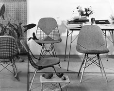 310 Chair Models ideas in 2023 | eames, charles & ray eames, chair