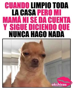 Yorsey Yorsey78 Perfil Pinterest
