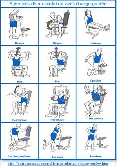 28 meilleures images du tableau programme muscu en 2019 28 meilleures images du tableau programme muscu en 2019