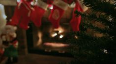Gizmodo Features Auraswireless Christmas Lights Gizmodo Aura Wireless Tech Gizmodo Features Auraswireless Christmas Lights Gizmodo Aura Wireless Tech