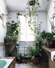 45 beste afbeeldingen van BADKAMER | PLANTEN | INSPIRATIE in 2018 ... 45 beste afbeeldingen van BADKAMER | PLANTEN | INSPIRATIE in 2018 ...