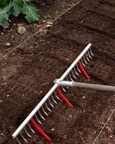 Raised Bed Garden Soil Memphis Tn Raised Bed Garden Soil Memphis Tn