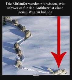 Echte erwachsenen-dating-app