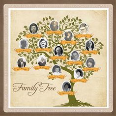 17 best family tree