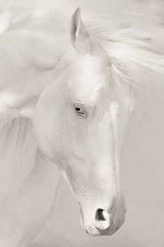 .White magic