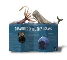 26 best pop up brochures images book design brochures page layout pop up brochure template