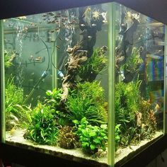 72 best magnetic fish tank cleaner images aquarium ideas exotic